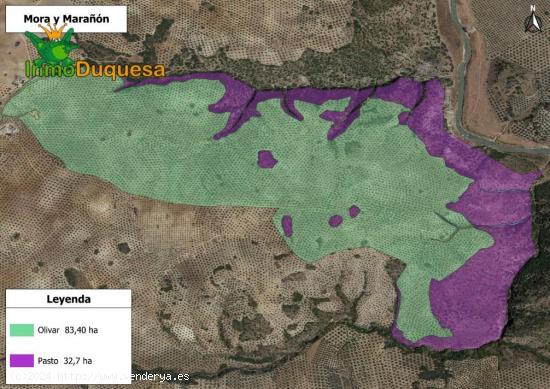 Finca rustica de 116,40 hectareas de OLIVAR en Loja. - GRANADA