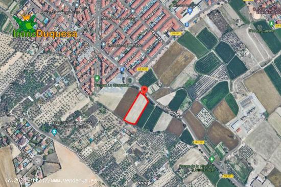 Parcela de 5000 metros junto al mercadona de Hijar - GRANADA