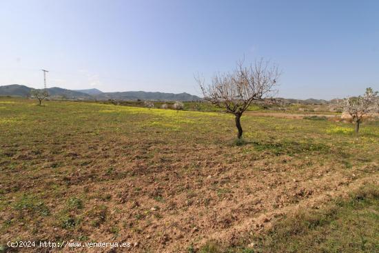 Se Vende en Cartagena - MURCIA