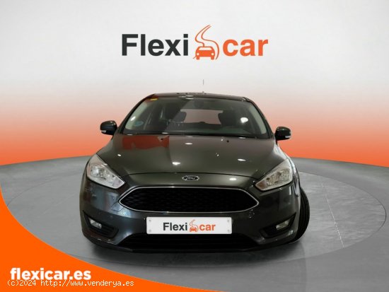 Ford Focus 1.0 Ecoboost 74kW Trend Sportbr - Sabadell