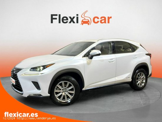 Lexus NX 2.5 300h Business Navigation 2WD - Vigo