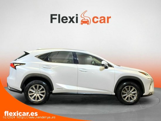 Lexus NX 2.5 300h Business Navigation 2WD - Vigo