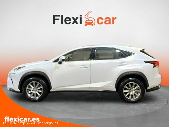 Lexus NX 2.5 300h Business Navigation 2WD - Vigo