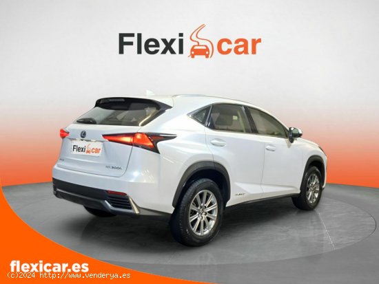 Lexus NX 2.5 300h Business Navigation 2WD - Vigo