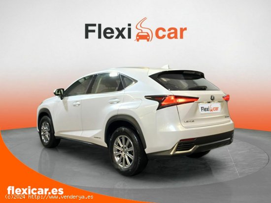 Lexus NX 2.5 300h Business Navigation 2WD - Vigo