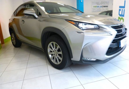 Lexus NX BUSSINES + NAVI - Montcada i Reixach