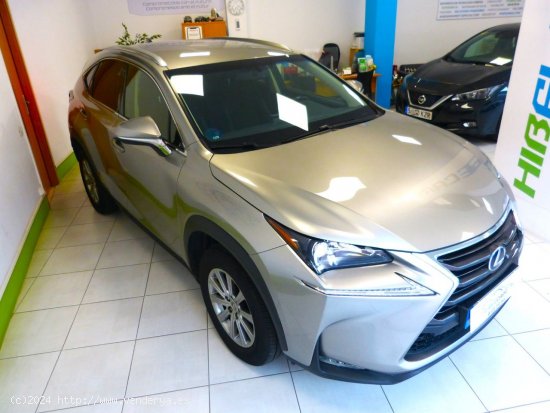 Lexus NX BUSSINES + NAVI - Montcada i Reixach