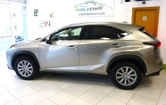 Lexus NX BUSSINES + NAVI - Montcada i Reixach