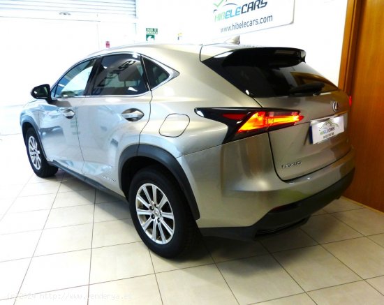 Lexus NX BUSSINES + NAVI - Montcada i Reixach