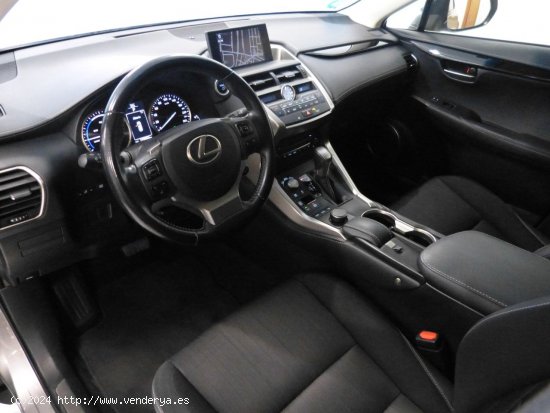 Lexus NX BUSSINES + NAVI - Montcada i Reixach