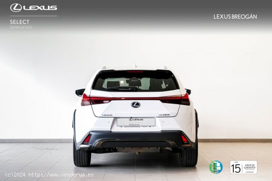 Lexus UX 250H F SPORT CUERO 2WD - A Coruña