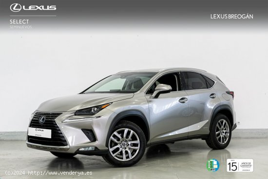  Lexus NX 300H EXECUTIVE KICK POWER NAVIGATION - A Coruña 