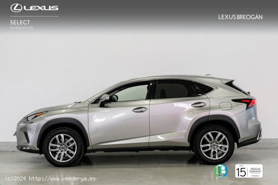 Lexus NX 300H EXECUTIVE KICK POWER NAVIGATION - A Coruña