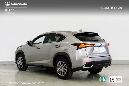 Lexus NX 300H EXECUTIVE KICK POWER NAVIGATION - A Coruña