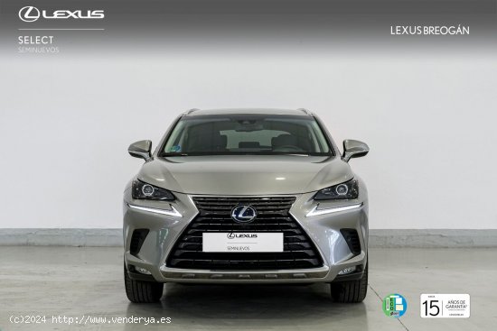 Lexus NX 300H EXECUTIVE KICK POWER NAVIGATION - A Coruña