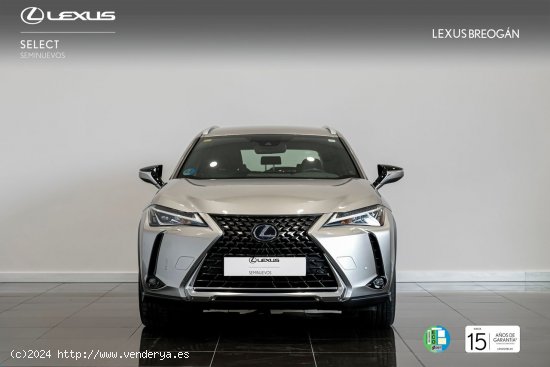 Lexus UX 250H EXECUTIVE - A Coruña