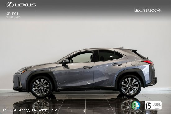 Lexus UX 250H F - SPORT - A Coruña