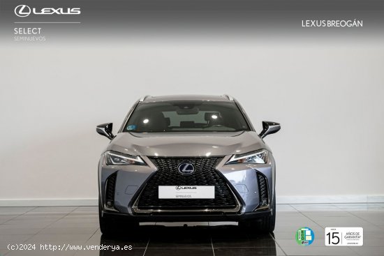 Lexus UX 250H F - SPORT - A Coruña