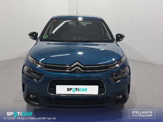 Citroën C4 Cactus  PureTech 81KW (110CV) S&S EAT6 Feel - Sant Boi de Llobregat