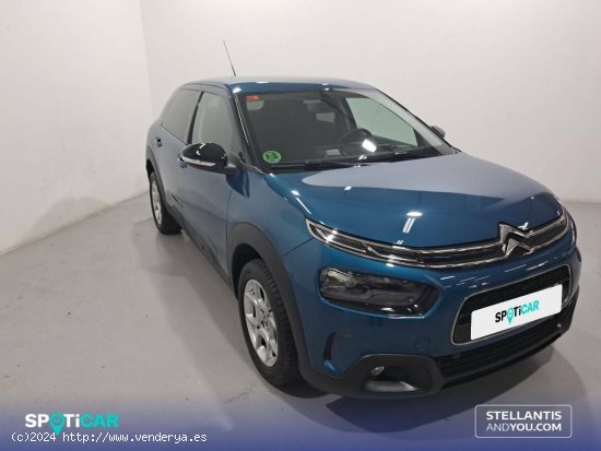 Citroën C4 Cactus  PureTech 81KW (110CV) S&S EAT6 Feel - Sant Boi de Llobregat