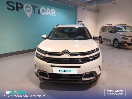 Citroën C5 Aircross  BlueHdi 96kW (130CV) S&S Shine - Barcelona