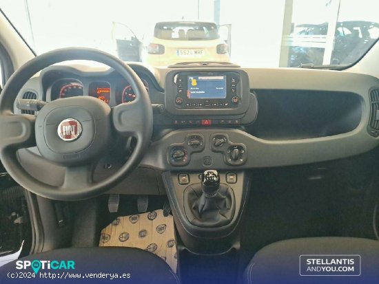 Fiat Panda  Panda Hybrid 1.0 51kw (70CV) - - València