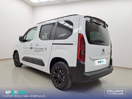 Citroën Berlingo  Talla M ë-Berlingo 50 kWh Shine - Huelva