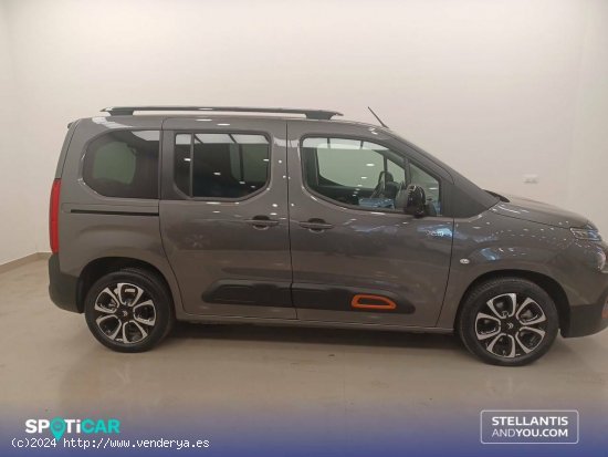 Citroën Berlingo  Talla M ë-Berlingo 50 kWh Shine - Huelva