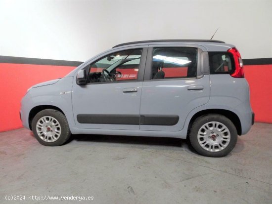 Fiat Panda 1.2 69CV Lounge - Palma de Mallorca