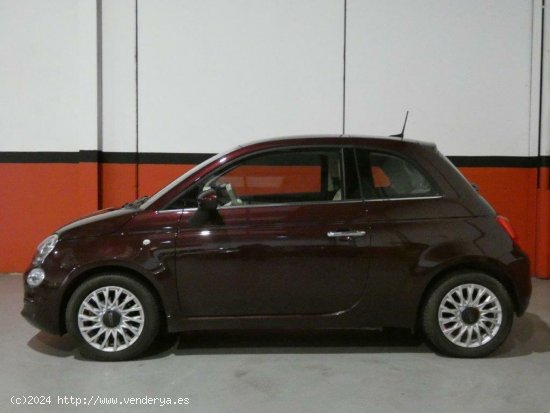 Fiat 500 1.2 69CV Lounge - Elche