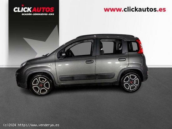 Fiat Panda 1.0 GSE 70CV City Life Hybrid - Palma de Mallorca