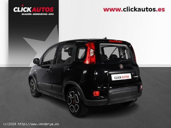 Fiat Panda 1.0 GSE 70CV City Life Hybrid - Mahon