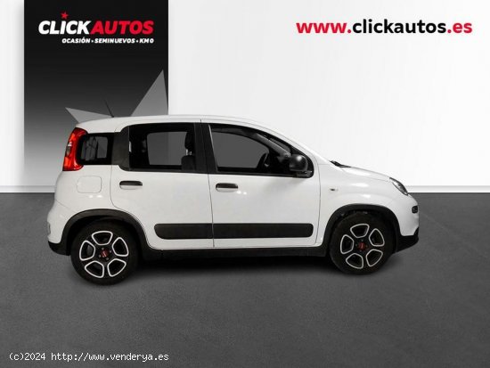 Fiat Panda 1.0 GSE 70CV City Life Hybrid - Sant Jordi de Ses Salines