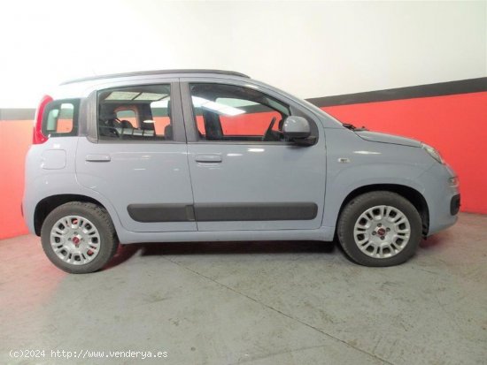 Fiat Panda 1.2 69CV Lounge - Riba-roja del turia