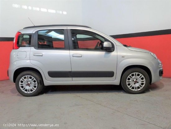 Fiat Panda 1.2 69CV Lounge - Málaga