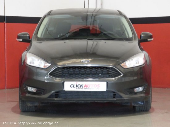 Ford Focus Sportbreak 1.6 TIVCT 125CV Trend+ - Elche