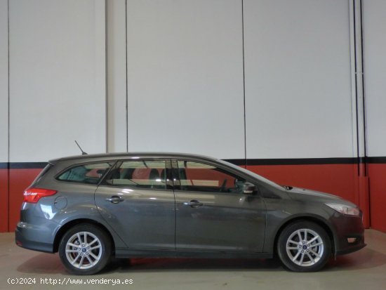 Ford Focus Sportbreak 1.6 TIVCT 125CV Trend+ - Elche