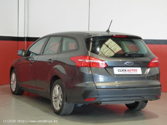 Ford Focus Sportbreak 1.6 TIVCT 125CV Trend+ - Elche