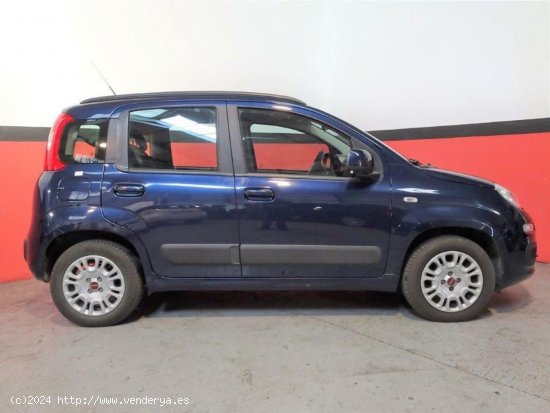 Fiat Panda 1.2 69CV Lounge - Málaga