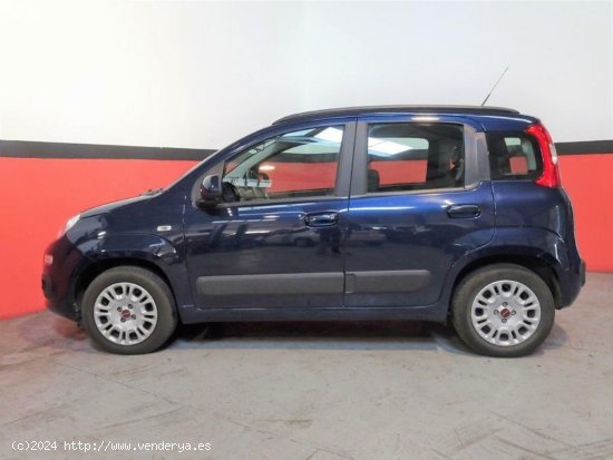 Fiat Panda 1.2 69CV Lounge - Málaga