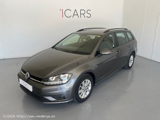 Volkswagen Golf Advance 1.6 TDI 85kW (115CV) Variant - Alzira