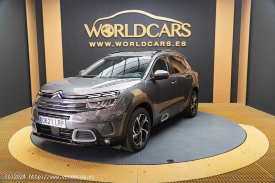 Citroën C5 Aircross BlueHdi 96kW (130CV) S&S Feel - Granada