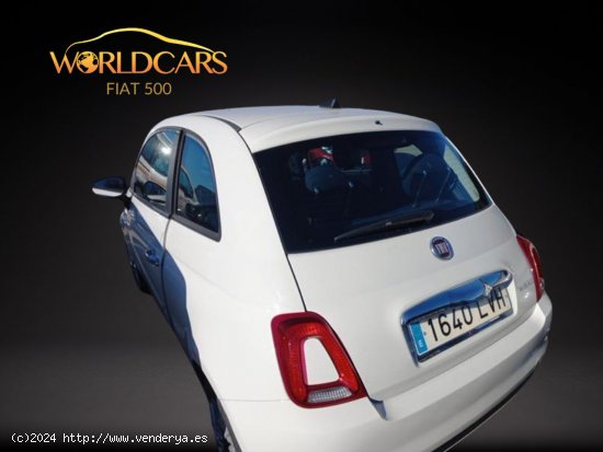 Fiat 500 Cult 1.0 Hybrid 51KW (70 CV) - Valencia