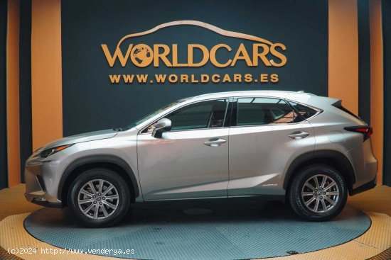 Lexus NX 2.5 300h Business Navigation 2WD - San Vicente del Raspeig