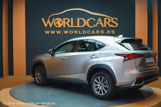 Lexus NX 2.5 300h Business Navigation 2WD - San Vicente del Raspeig