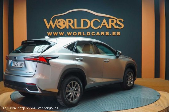 Lexus NX 2.5 300h Business Navigation 2WD - San Vicente del Raspeig