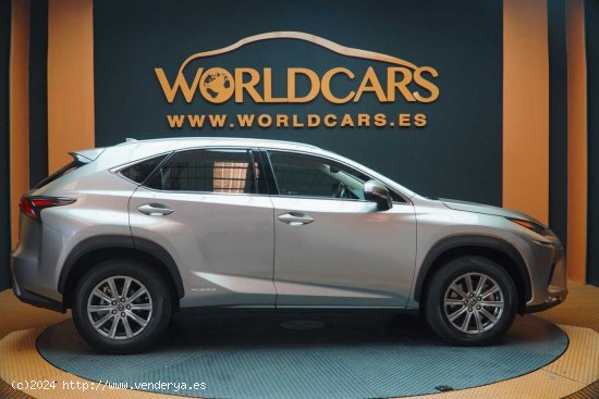 Lexus NX 2.5 300h Business Navigation 2WD - San Vicente del Raspeig