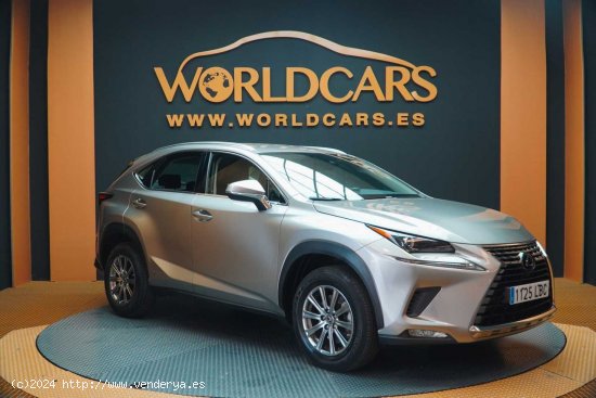 Lexus NX 2.5 300h Business Navigation 2WD - San Vicente del Raspeig