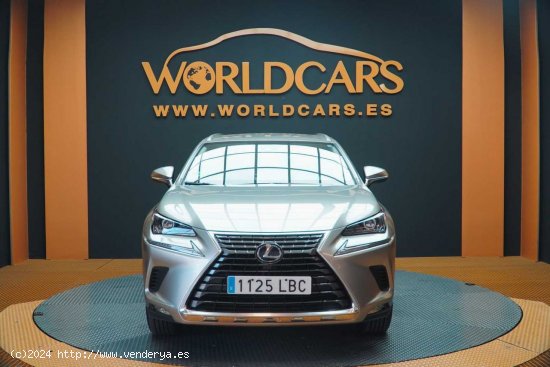 Lexus NX 2.5 300h Business Navigation 2WD - San Vicente del Raspeig