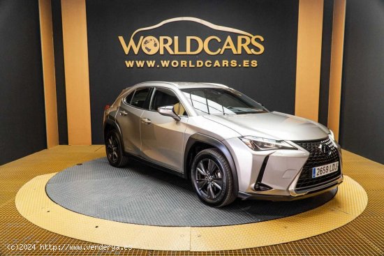 Lexus UX 2.0 250h Business Navigation - Elche